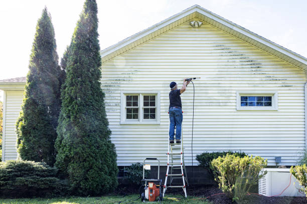 Best Soft Washing  in Quincy, WA